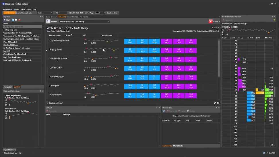 Benefits of Using Betfair Trading Software